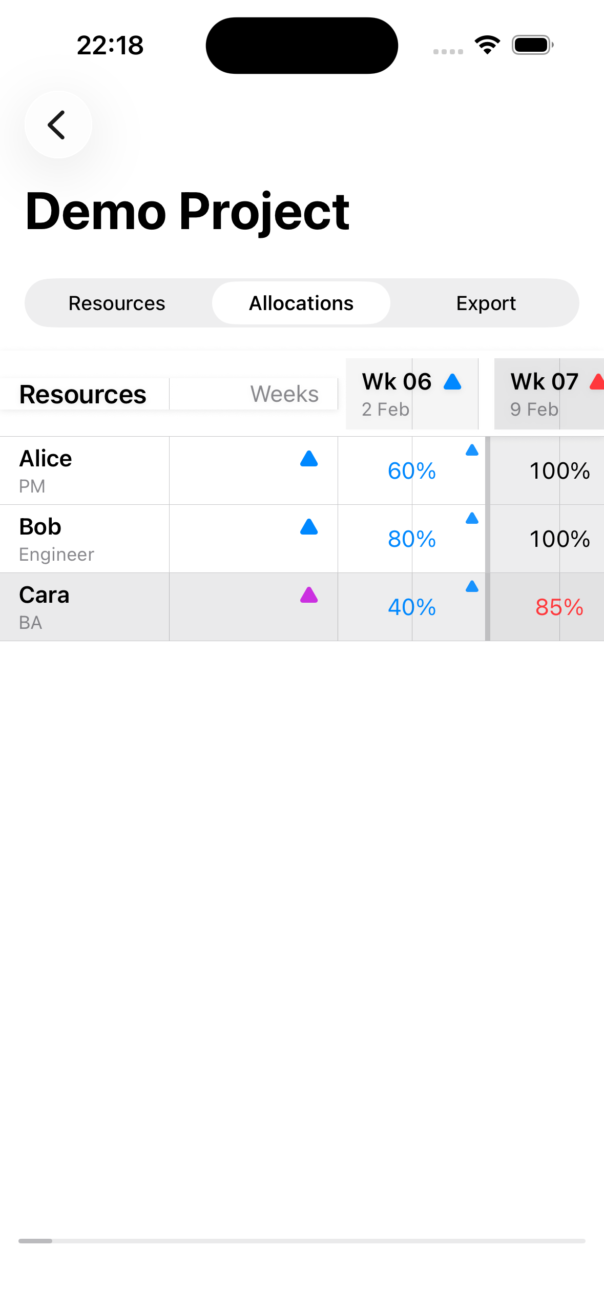 Resource Modeller Allocations Grid on iPhone